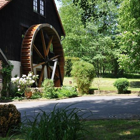 Hotel Landgasthof Geiersmuhle Vielbrunn Exteriér fotografie