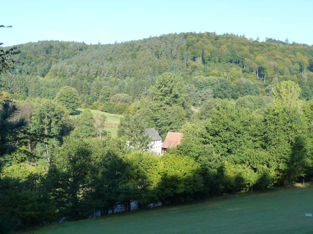 Hotel Landgasthof Geiersmuhle Vielbrunn Exteriér fotografie